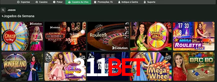 311bet bet