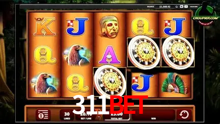 VIP Casino 311bet